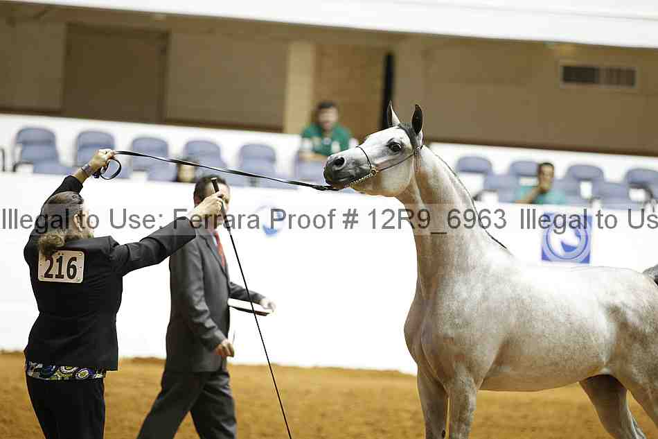 Proof 12r9_6963