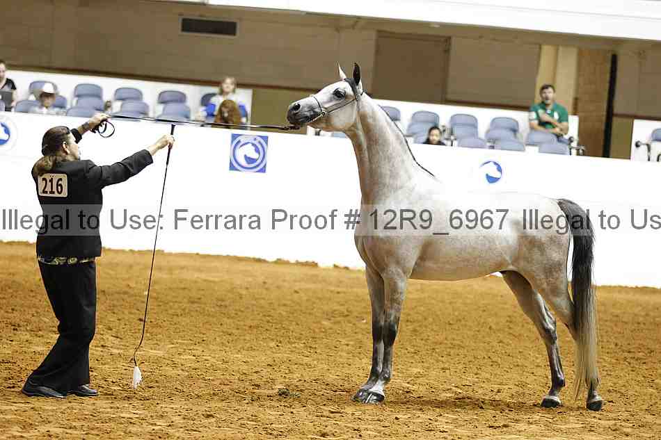 Proof 12r9_6967