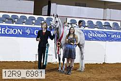 12r9_6981 proof