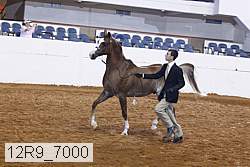 12r9_7000 proof