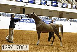 12r9_7003 proof