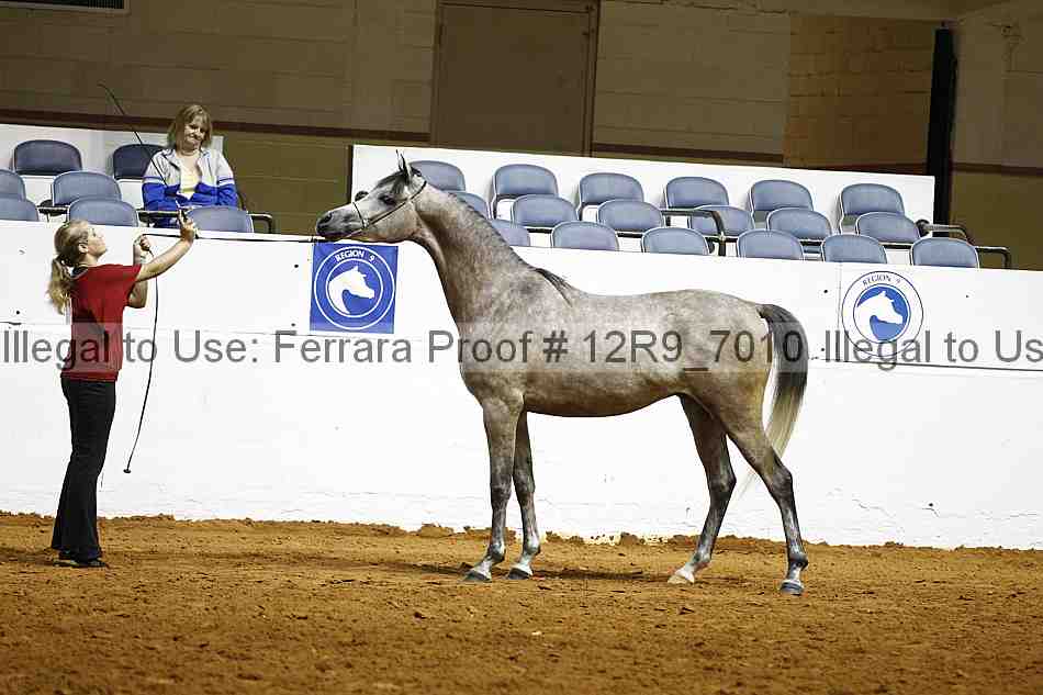 Proof 12r9_7010