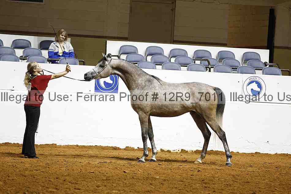 Proof 12r9_7011