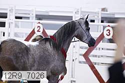 12r9_7026 proof