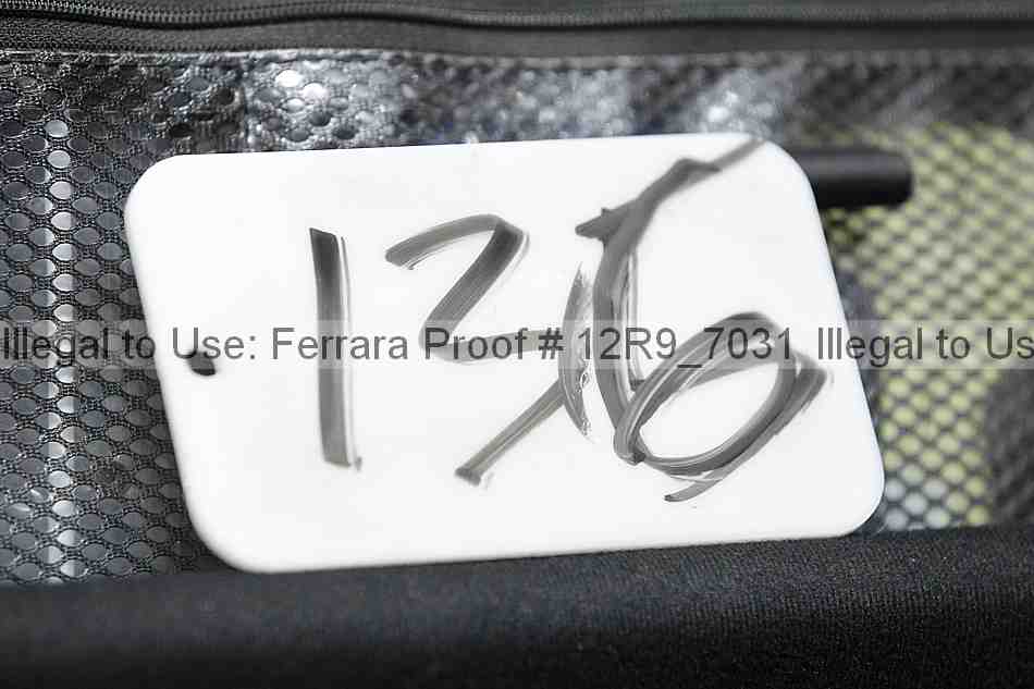 Proof 12r9_7031