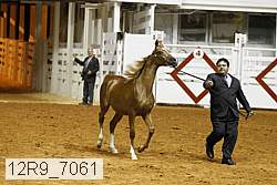 12r9_7061 proof