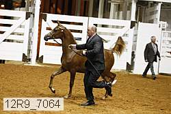 12r9_7064 proof