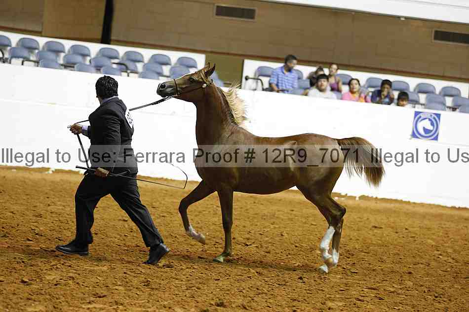Proof 12r9_7071