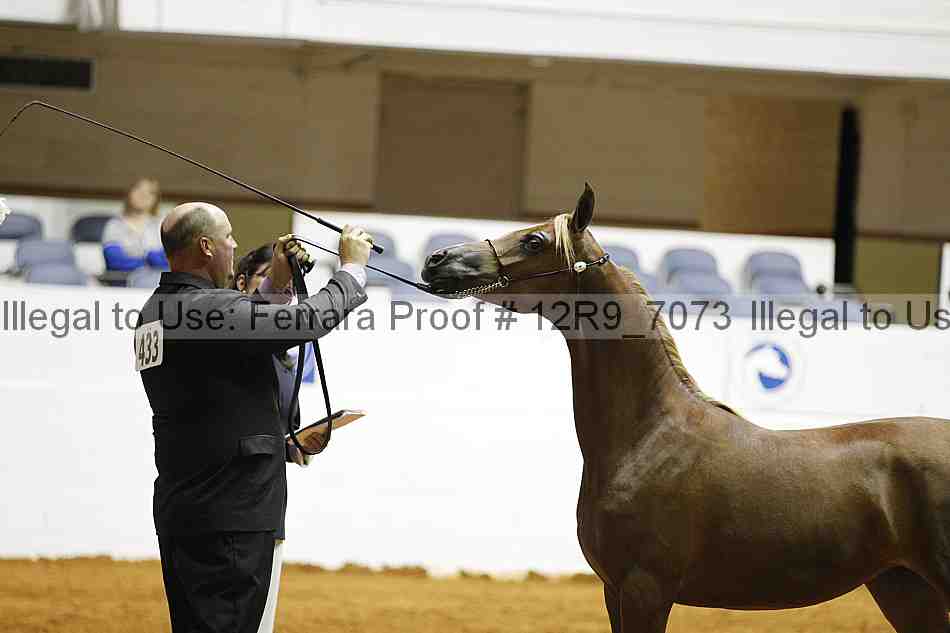 Proof 12r9_7073
