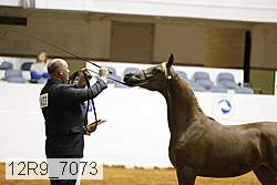 12r9_7073 proof