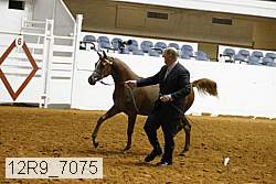 12r9_7075 proof