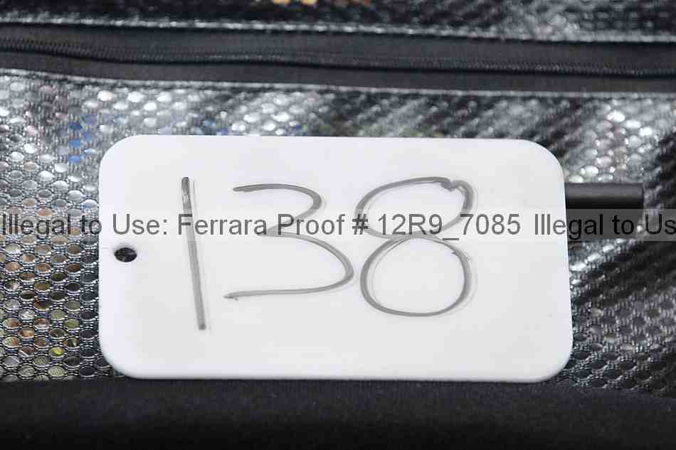 Proof 12r9_7085
