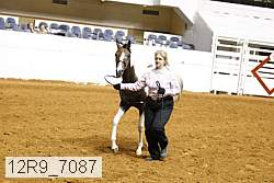 12r9_7087 proof