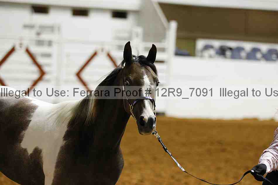 Proof 12r9_7091