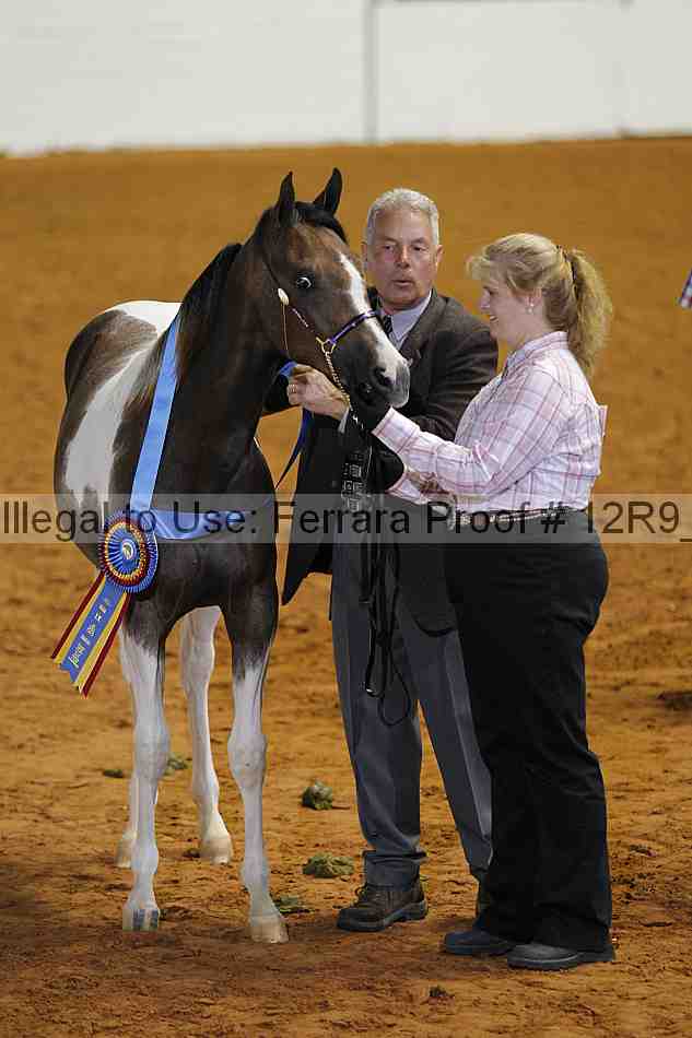 Proof 12r9_7095