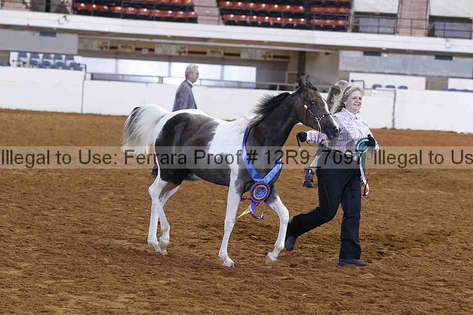 Proof 12r9_7097