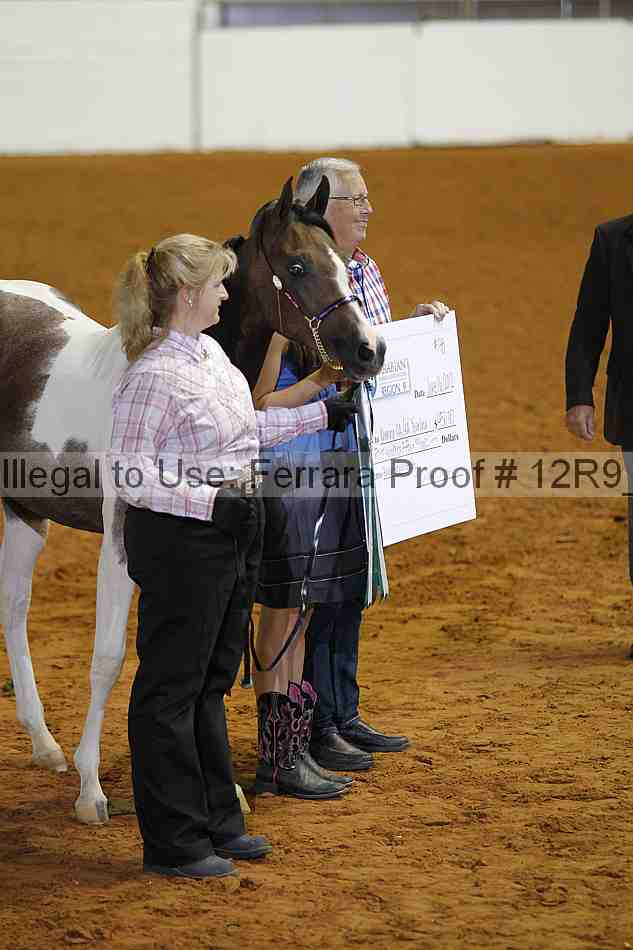 Proof 12r9_7098
