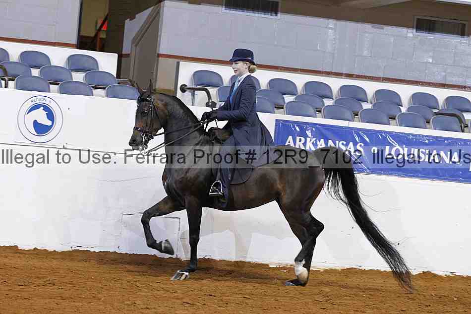 Proof 12r9_7102