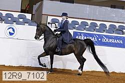 12r9_7102 proof