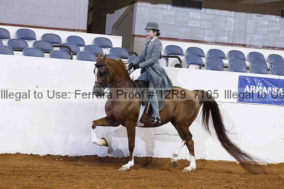 Proof 12r9_7105