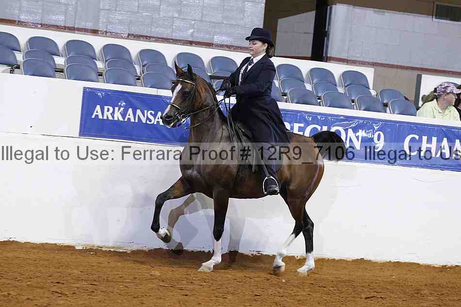 Proof 12r9_7106