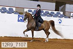 12r9_7107 proof