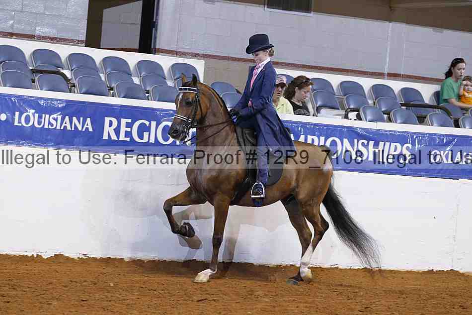 Proof 12r9_7108