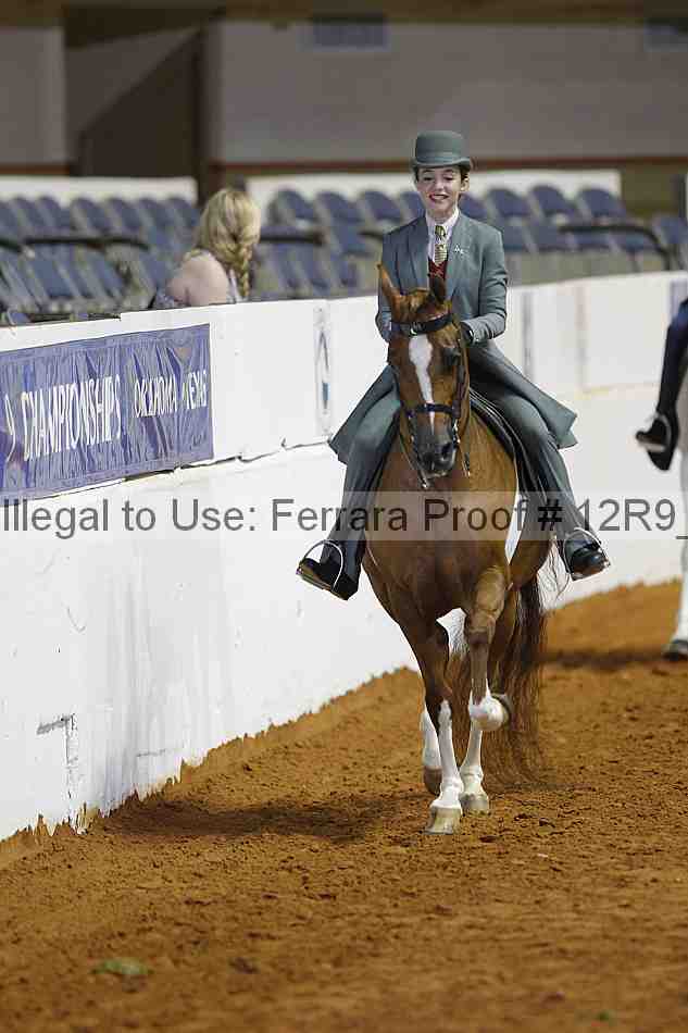 Proof 12r9_7113