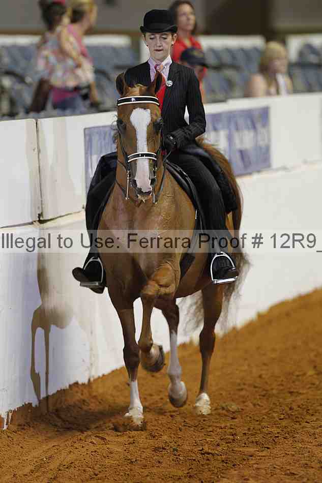 Proof 12r9_7116