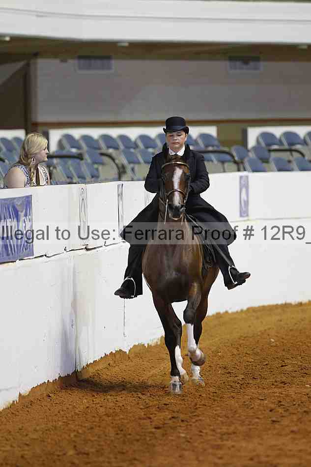 Proof 12r9_7117