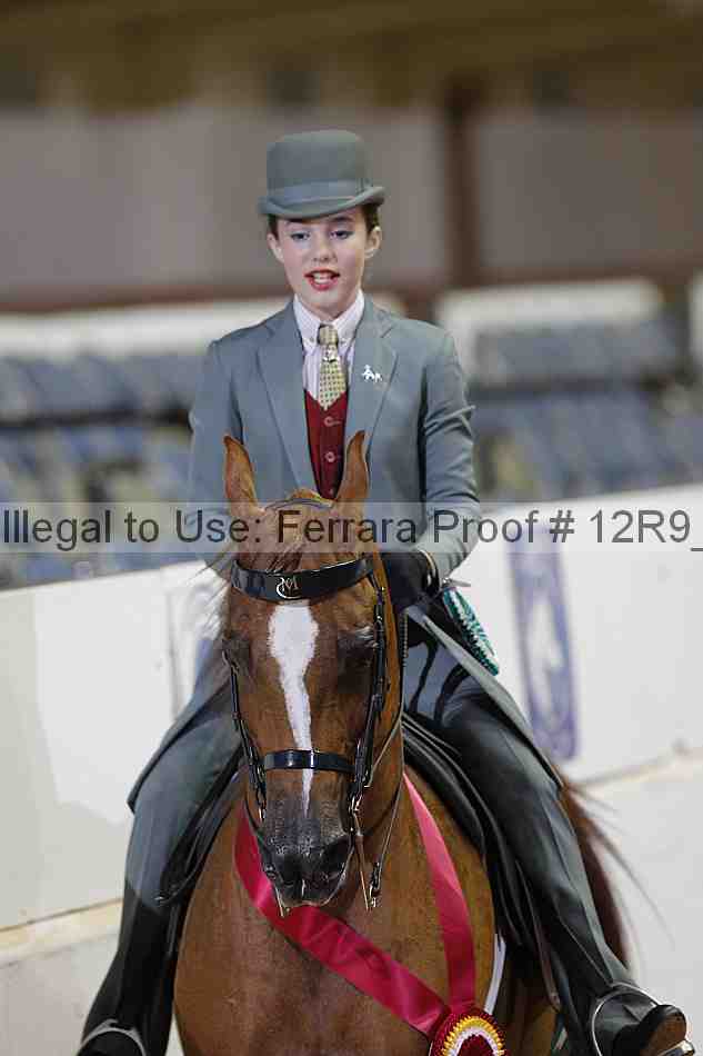 Proof 12r9_7126