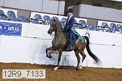 12r9_7133 proof