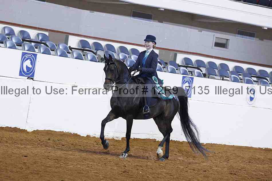 Proof 12r9_7135