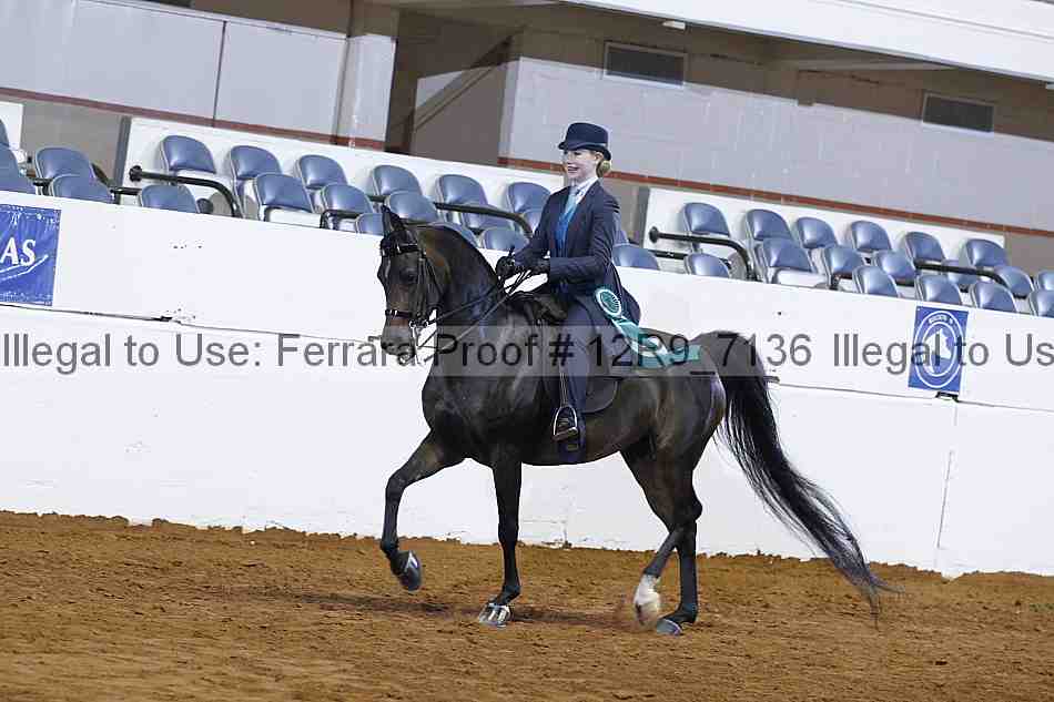 Proof 12r9_7136