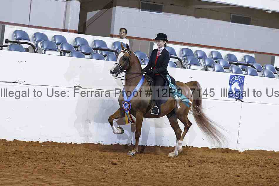 Proof 12r9_7145