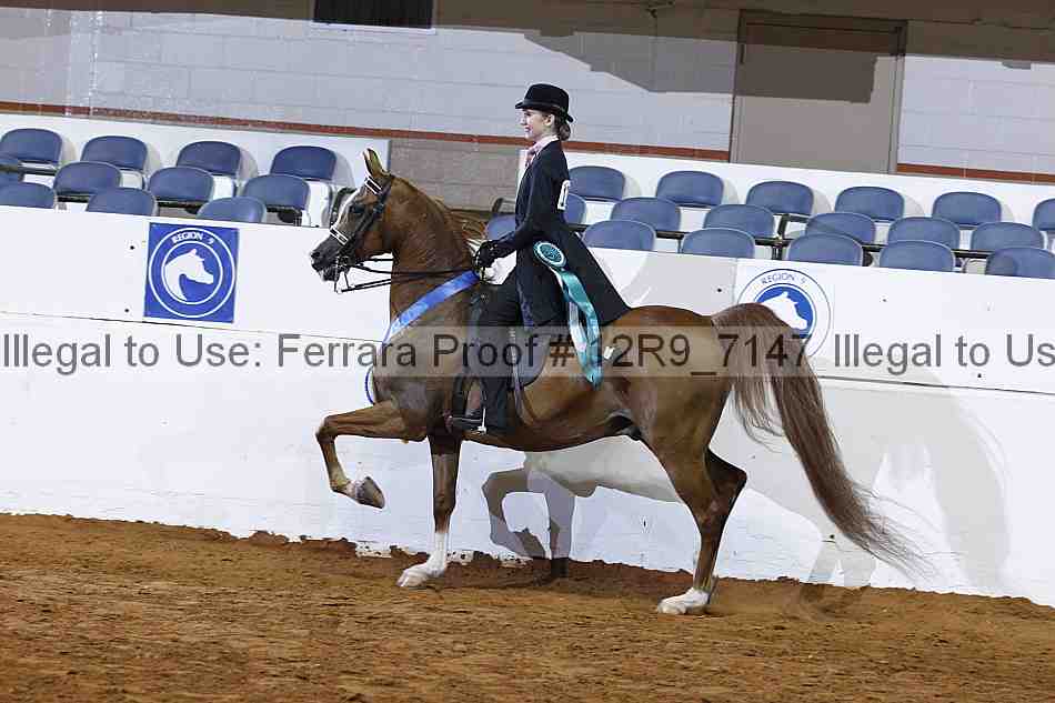 Proof 12r9_7147
