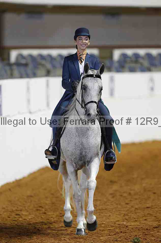 Proof 12r9_7149