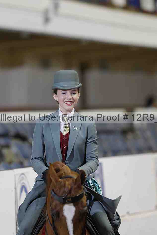 Proof 12r9_7153