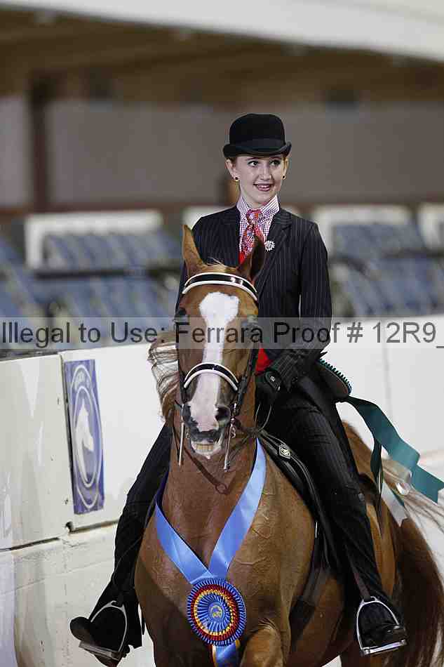 Proof 12r9_7156