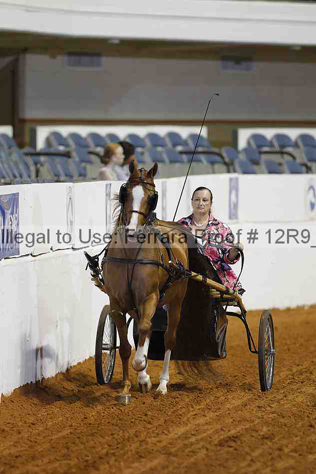 Proof 12r9_7171