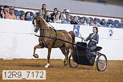 12r9_7172 proof