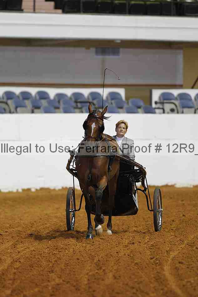 Proof 12r9_7173