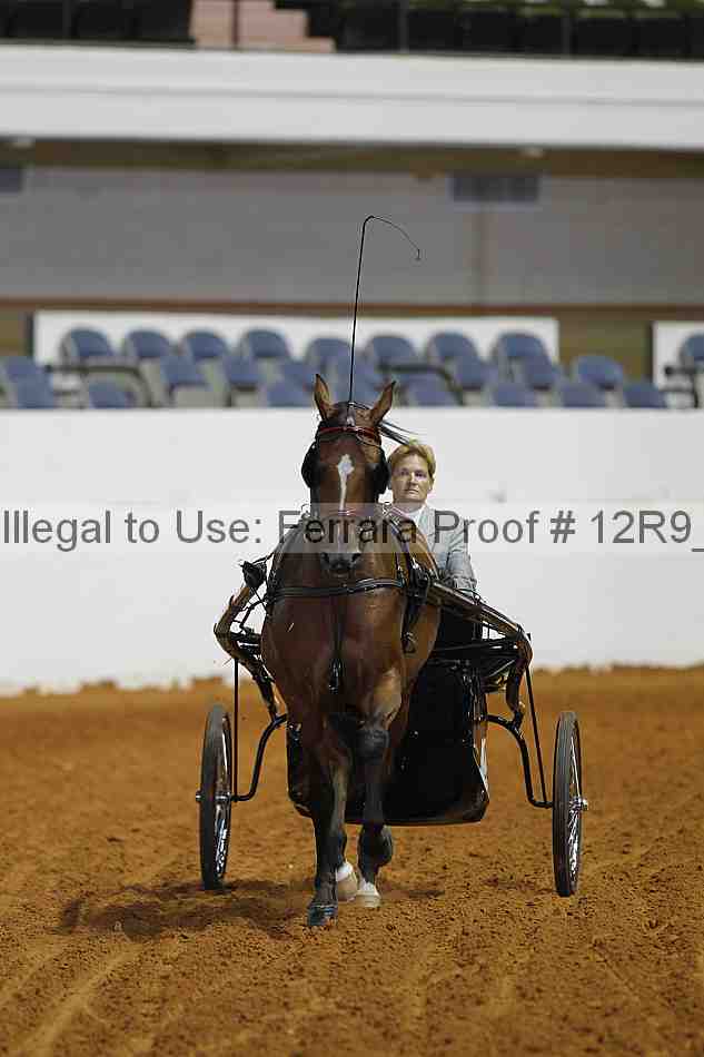 Proof 12r9_7174
