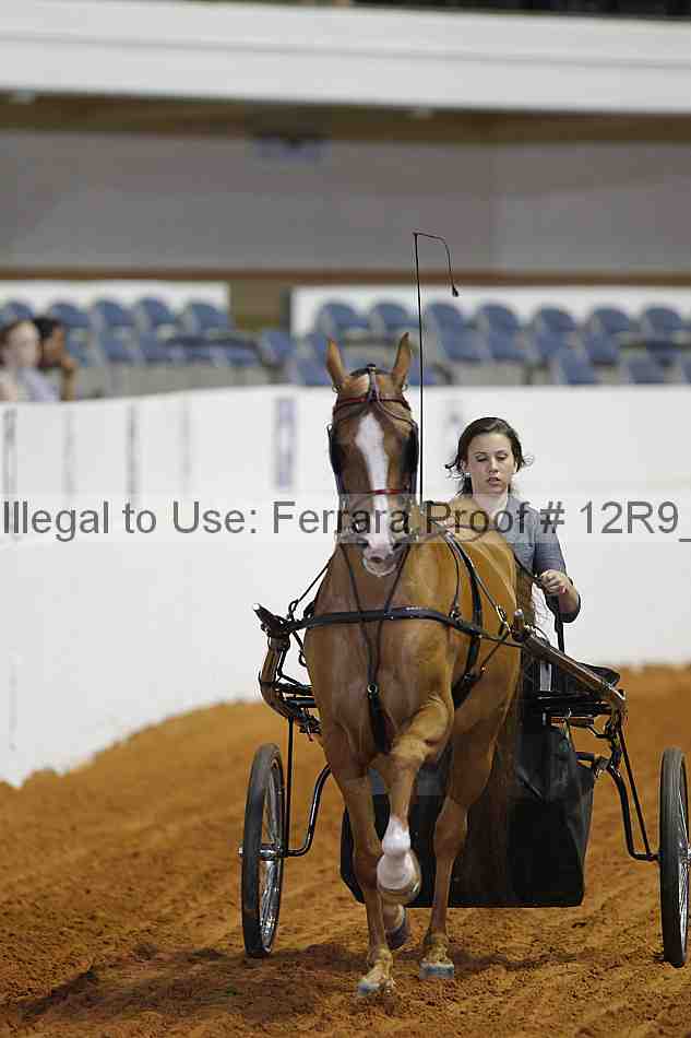 Proof 12r9_7178