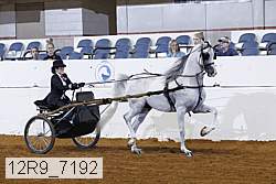 12r9_7192 proof