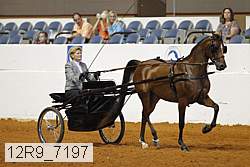 12r9_7197 proof