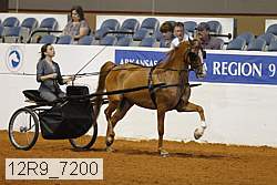 12r9_7200 proof