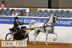 12r9_7201 proof