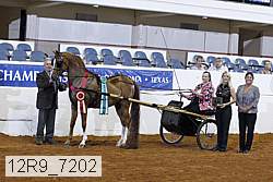 12r9_7202 proof