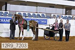 12r9_7203 proof